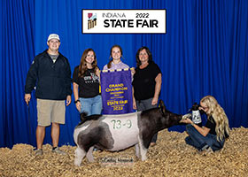 Grand Champion Gilt 2022 Indiana State Fair Open Show